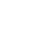 LICENSING Icon